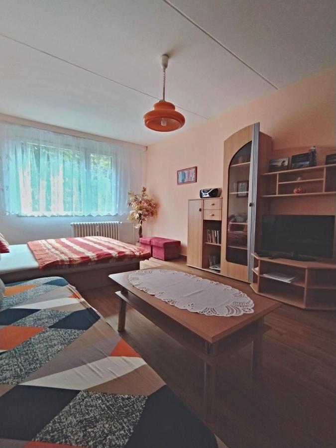 Apartman V Srni Luaran gambar