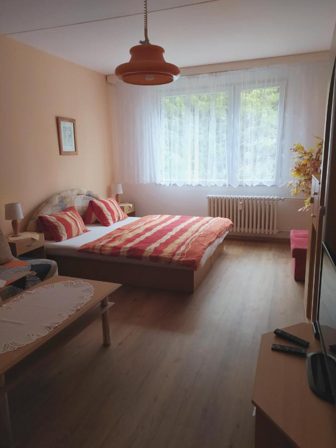 Apartman V Srni Luaran gambar